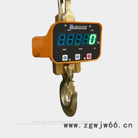 单面直视吊钩秤. 电子吊钩秤 OCS-A单面直视型吊钩秤图6