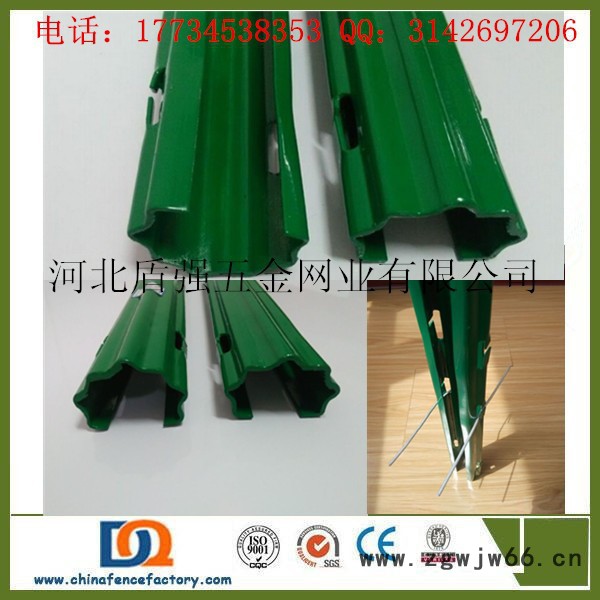 大棚立柱 金属钢柱 葡萄庄园用地桩柱 梅花型大棚配件 温室、大棚图2