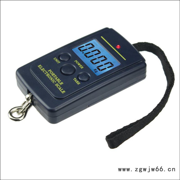 供应创衡C110手提电子秤,吊钩秤,钓鱼秤，秤图2