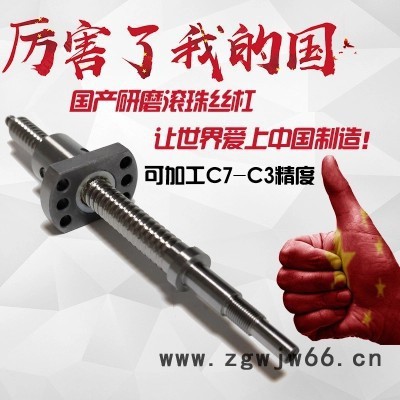 0602 0802 0802.5 1002 1003 1605订做研磨级微型滚珠丝杆图3