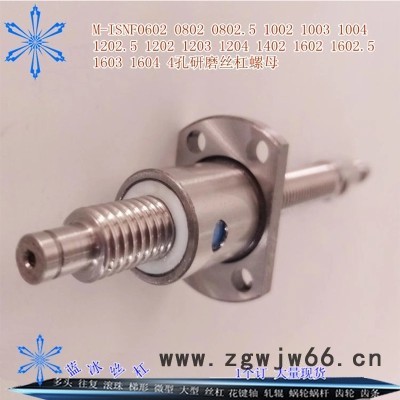 0602 0802 0802.5 1002 1003 1605订做研磨级微型滚珠丝杆图4