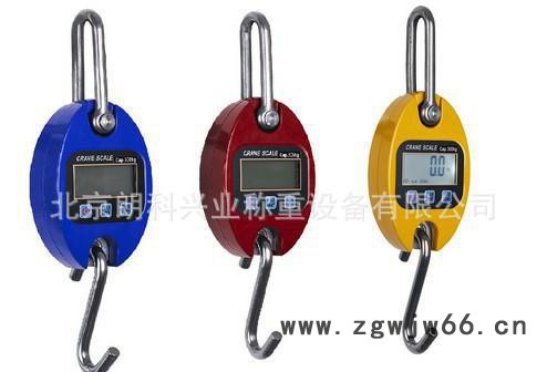 电子吊秤300kg，迷你电子吊秤300公斤，300KG电子吊钩秤直销