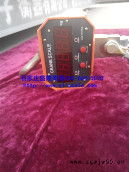 供应盛隆衡器ocs-5t电子吊钩称图2