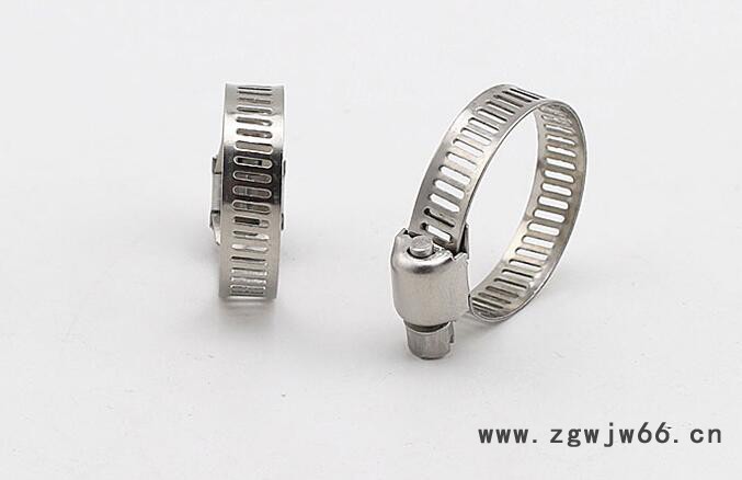 **供应 不锈钢迷你强力喉箍 小美式卡箍强力图3
