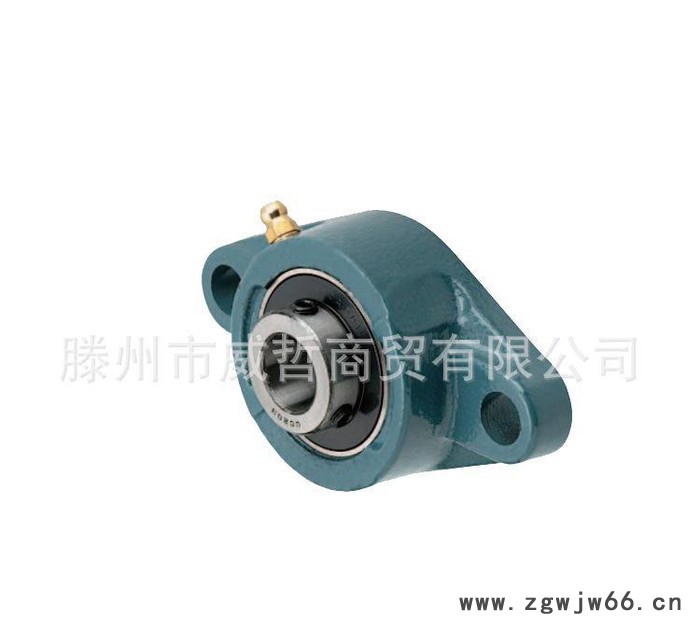 HDH20 UCFL204滚珠轴承组件 滚珠轴承组件 铸铁法兰型图2