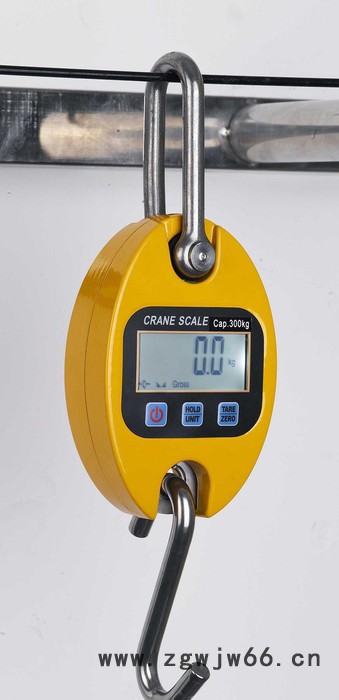ocs朗科200kg吊磅，电子吊钩秤200公斤直视电子吊秤