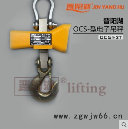 供应晋阳湖电子吊钩秤  吊磅秤  直视吊秤  行车称 带遥控图4