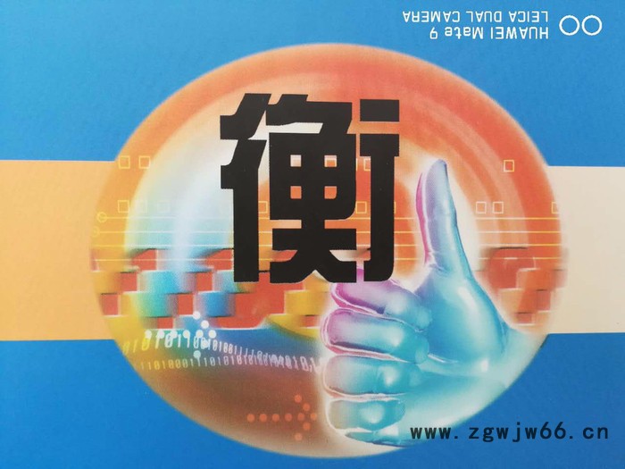 赤峰衡器-OCS-XS系列无线吊钩秤，赤峰衡器厂图2