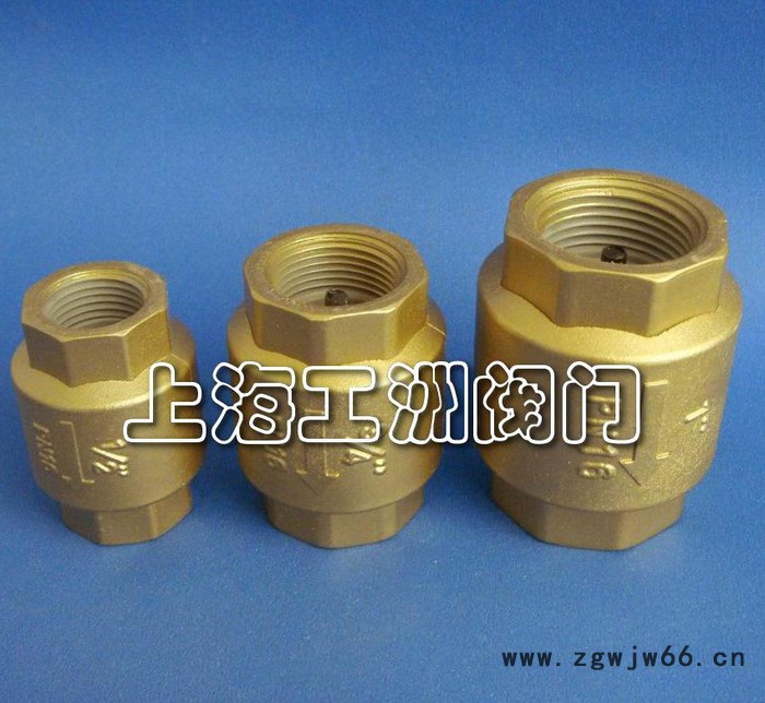 卡箍角式止回阀H83H 零售图2