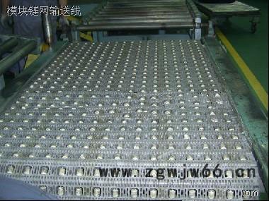 供应**400滚珠网带 塑料滚珠传送带图3