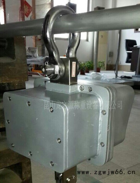 1t/2t/3t本安型防爆电子吊秤本安防爆吊秤 防爆吊钩秤