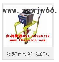 蓝箭CS-XC-D防爆电子吊称,防爆型电子吊钩称,防爆电子吊磅称,防爆电子挂钩称 防爆秤图5