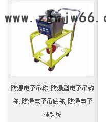 蓝箭CS-XC-D防爆电子吊称,防爆型电子吊钩称,防爆电子吊磅称,防爆电子挂钩称 防爆秤图4