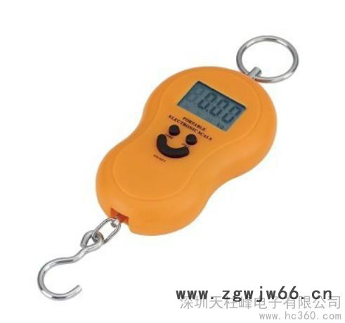 供应天柱峰TL002电子吊钩秤电子