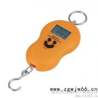 供应天柱峰TL002电子吊钩秤电子