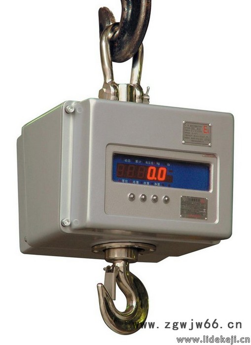 供应保衡ocs带打印10吨吊钩称图3