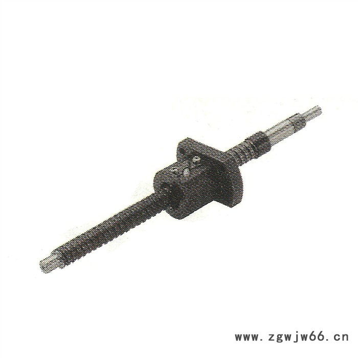 供应mimmim滚珠丝杠图3