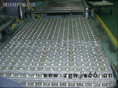 供应滚珠模块输送带图3