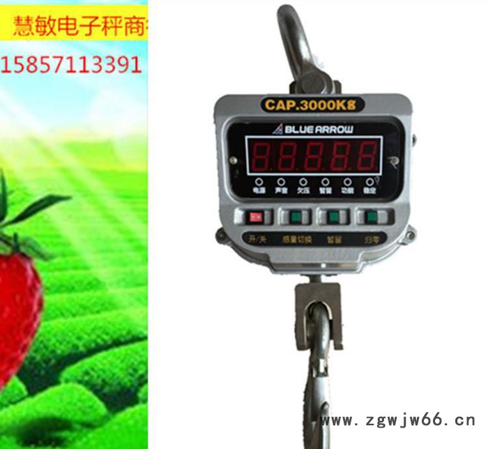 浙江蓝箭高精度直视电子吊秤 3吨5吨10吨15吨旋转式称重吊钩秤吊称摇控距离30m图3