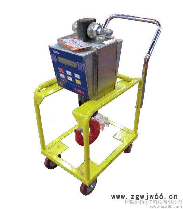 供应雄衡防爆吊钩电子秤图2