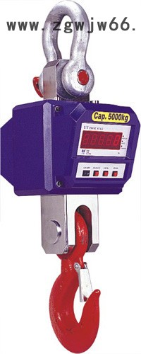 供应浩宇衡器OCS吊钩秤,电子秤,防爆称图2