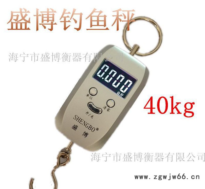 盛博手提电子秤便携式钓鱼快递挂钓吊钩行李电子手提秤50kg图3