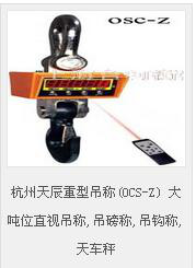 杭州天辰吊秤OCS高精度电子吊磅秤 电子吊钩秤 工业行车秤 天辰电子吊秤吊磅秤图2
