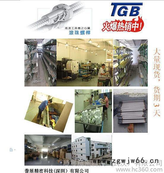 往复丝杆 升降丝杆 TGB滚珠丝杆 丝杠 大量现货 誊展科技