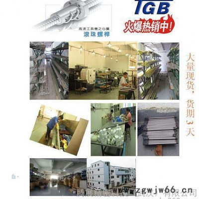 往复丝杆 升降丝杆 TGB滚珠丝杆 丝杠 大量现货 誊展科技