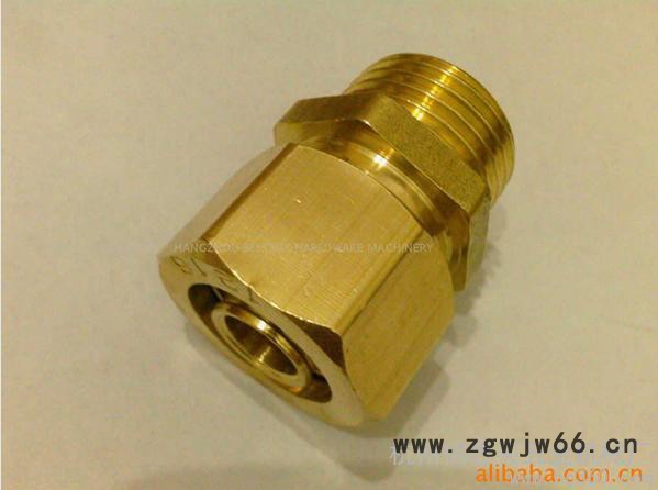 供应金瓦特DPJB铜接头 铜卡箍卡套接头图2