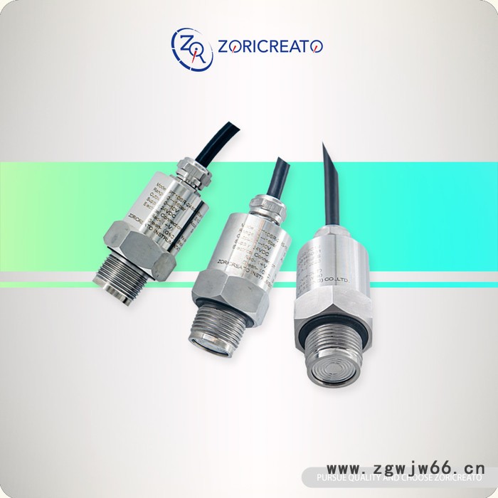 卓然天工 PT10SR-2489 压力变送器 赫斯曼接头扩散硅压力变送器 DN25卡箍连接 扩散硅式压力变送器图2