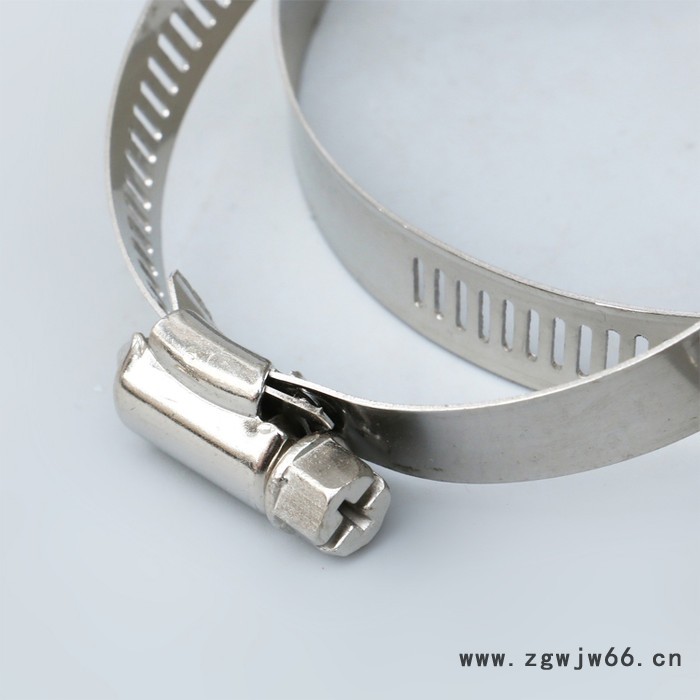 供应不锈钢系类喉箍 美式喉箍 卡箍 抱箍201  12MM宽图5