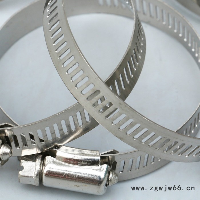 供应不锈钢系类喉箍 美式喉箍 卡箍 抱箍201  12MM宽图3