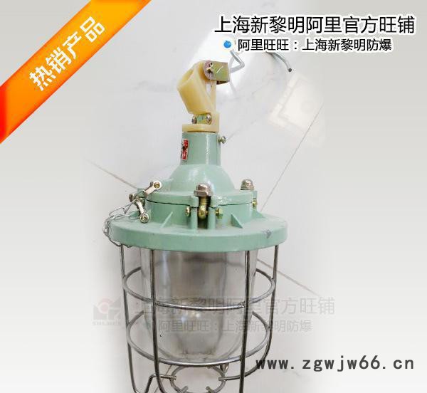 BCD-100隔爆型防爆照明灯，吊钩式手持式分体， 新黎明防爆灯图2