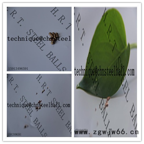 广东钢球厂红润泰HRT钢球H62铜球 钢珠/滚珠图2