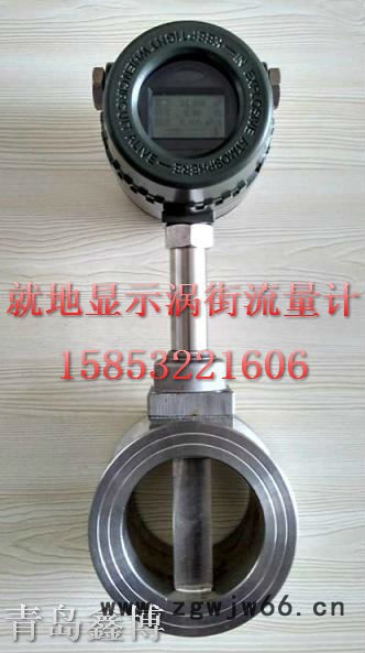 山东涡街流量计，多种类涡街流量计，法兰卡装/螺纹式/卡箍式/法兰式涡街流量计图2