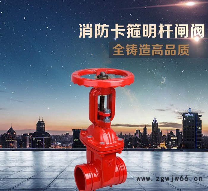 消防卡箍明杆闸阀 手动闸阀 明杆闸阀 法兰闸阀图2