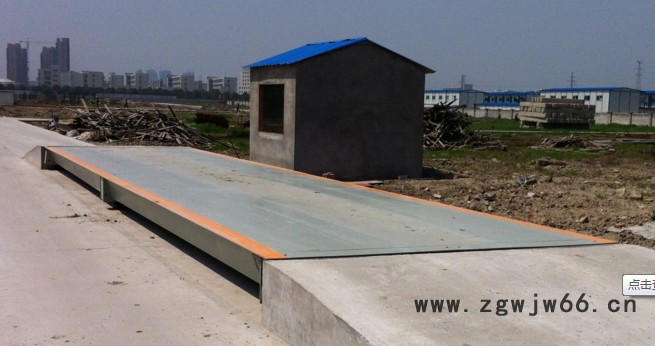 兴龙地磅 二手地磅   猪栏秤 地磅 人体秤  吊钩秤 皮带秤  防爆秤  天平秤图6