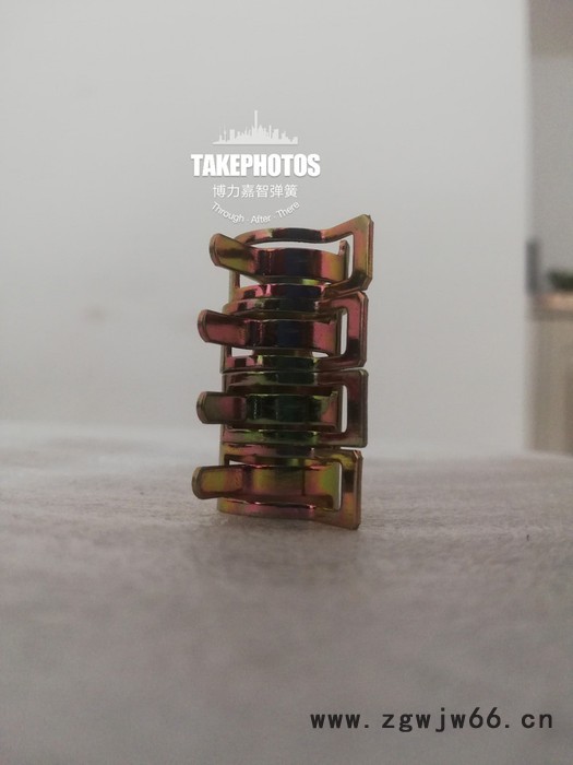 Boljz管夹 日式卡箍图3