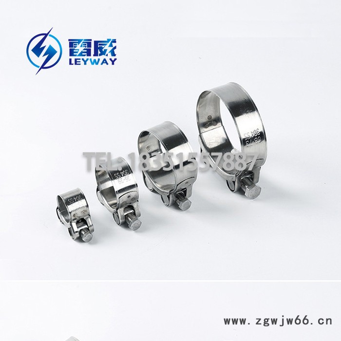 欧式强力喉箍17-356不锈钢304单头实心强力箍T型强力卡箍库存现货图2
