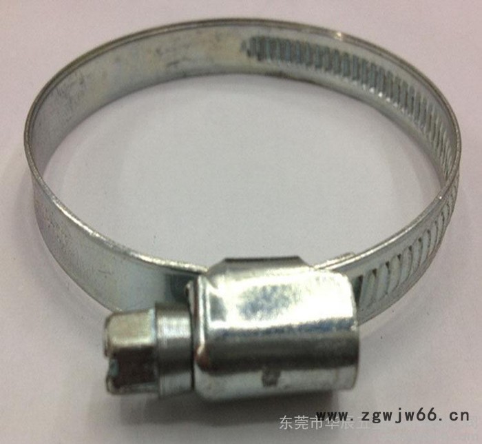 直销 德式卡箍不锈钢316抛光强力卡箍抱箍非标定做产地货源图2