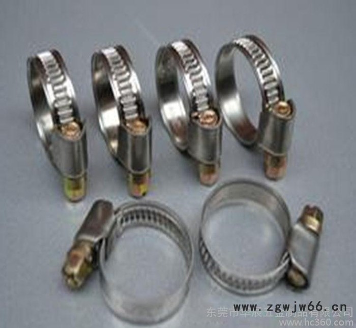 直销 德式卡箍不锈钢316抛光强力卡箍抱箍非标定做产地货源图3