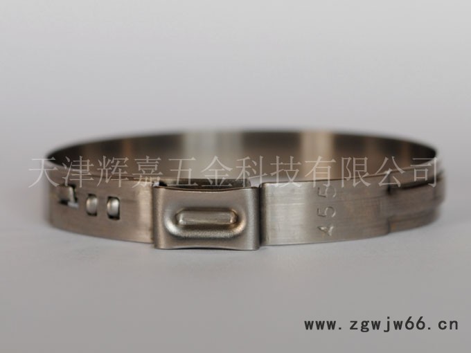 供应单耳无极卡箍 45.5-706R图3