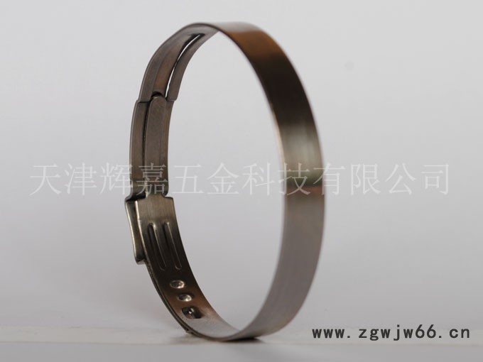 供应单耳无极卡箍 45.5-706R图2