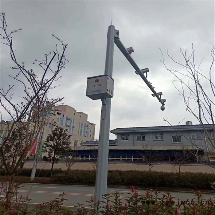 抱箍支臂 监控立杆_工艺精良图6