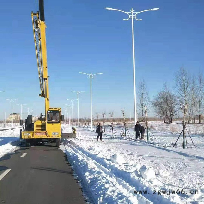 畅园cyzm市电抱箍LED路灯 公路7米平行双臂市电路灯图2