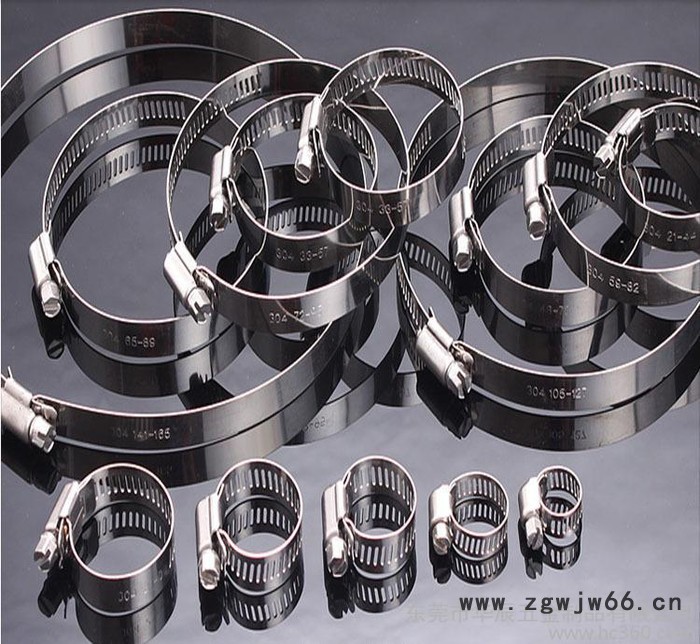 卡箍直销 201不锈钢喉箍不锈钢卡箍抛光32-305产地货源图2