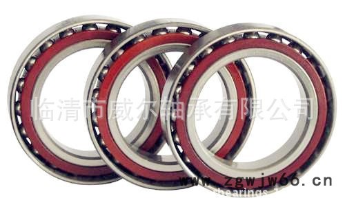 BSB075110T1进口原装轴承高精高密滚珠轴承丝支撑轴承图3