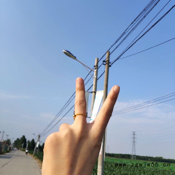 英光-太阳能路灯双滦区电线杆路灯 抱箍灯杆卡子 分体太阳能灯维修图3