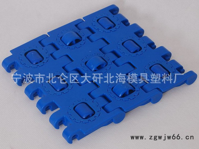 供应OEM厂家专业生产RTB塑料模块式滚珠输送带 耐磨塑料模块网带网链图2